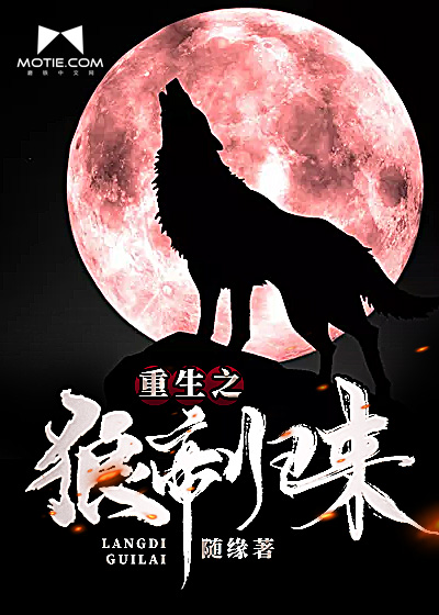 之狼(只狼在steam上的名字)